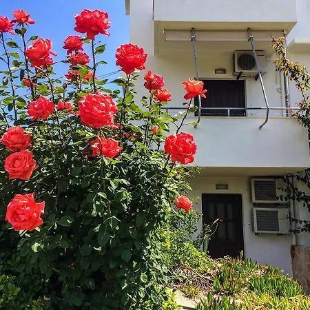 Vasilikos Apartments Paralia Agias Foteinis Exterior foto