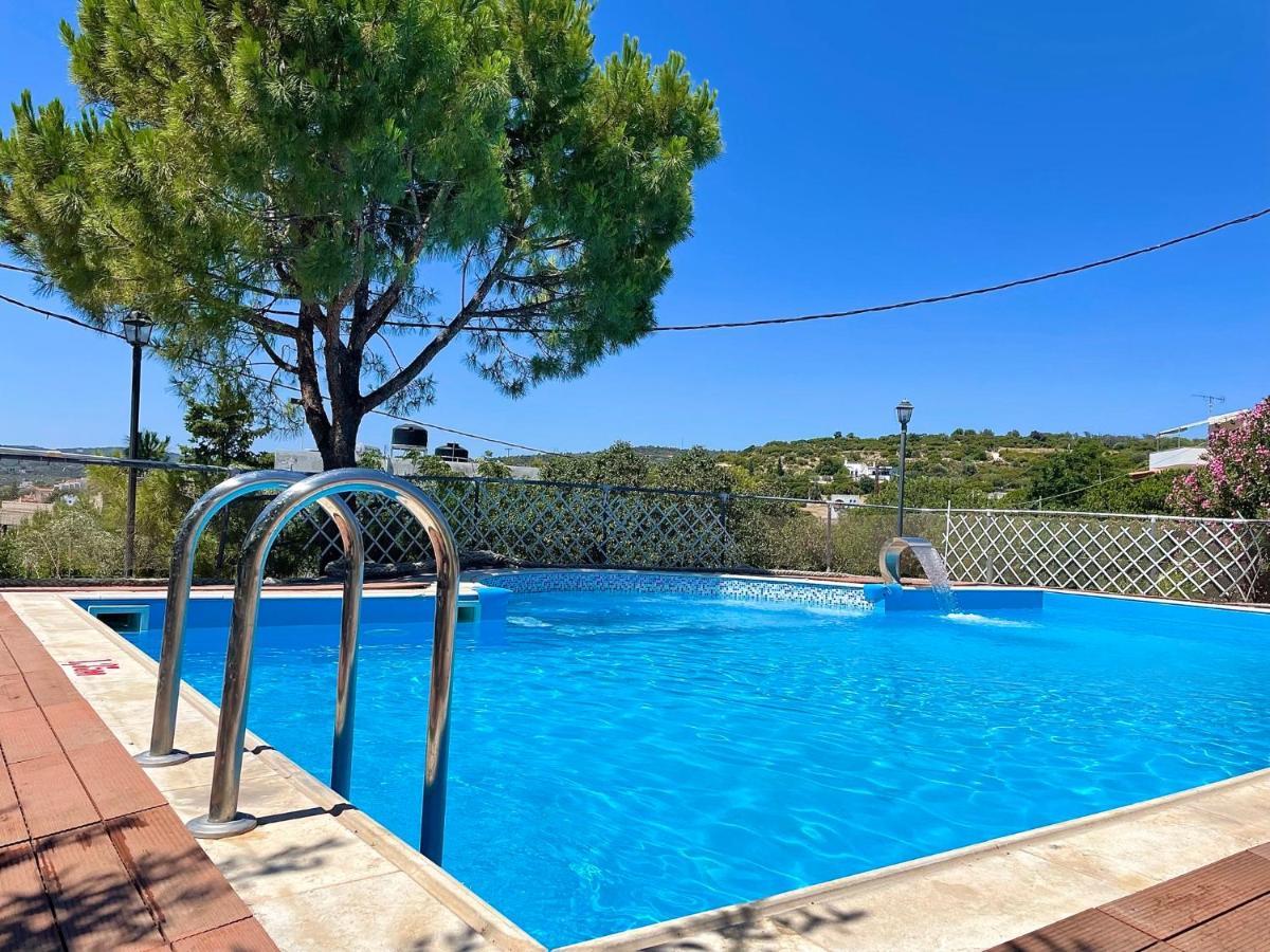 Apartment Vasilikos *
