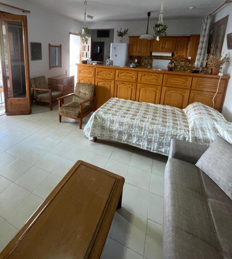 Apartment Vasilikos *