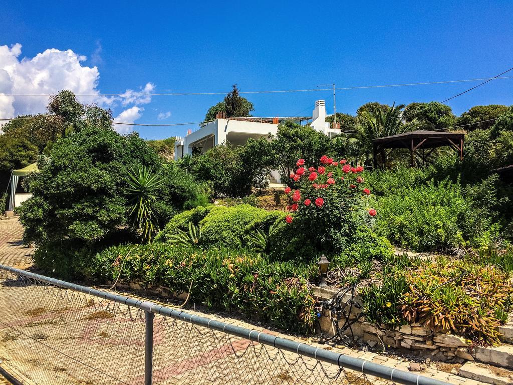 Apartment Vasilikos