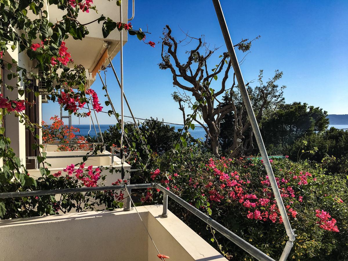 Vasilikos Apartment Paralia Agias Foteinis